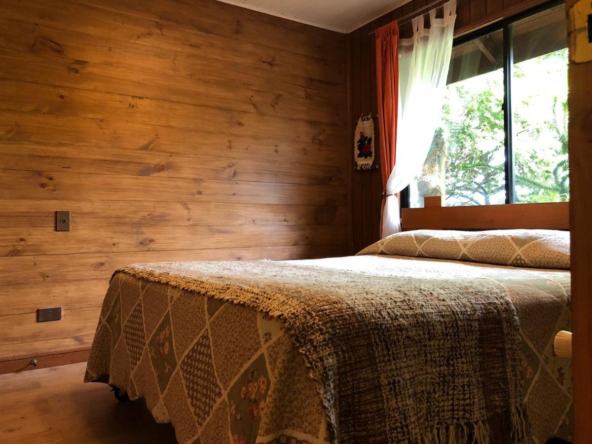 Hostal El Nogal Pucon Ngoại thất bức ảnh