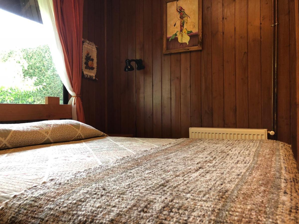 Hostal El Nogal Pucon Ngoại thất bức ảnh