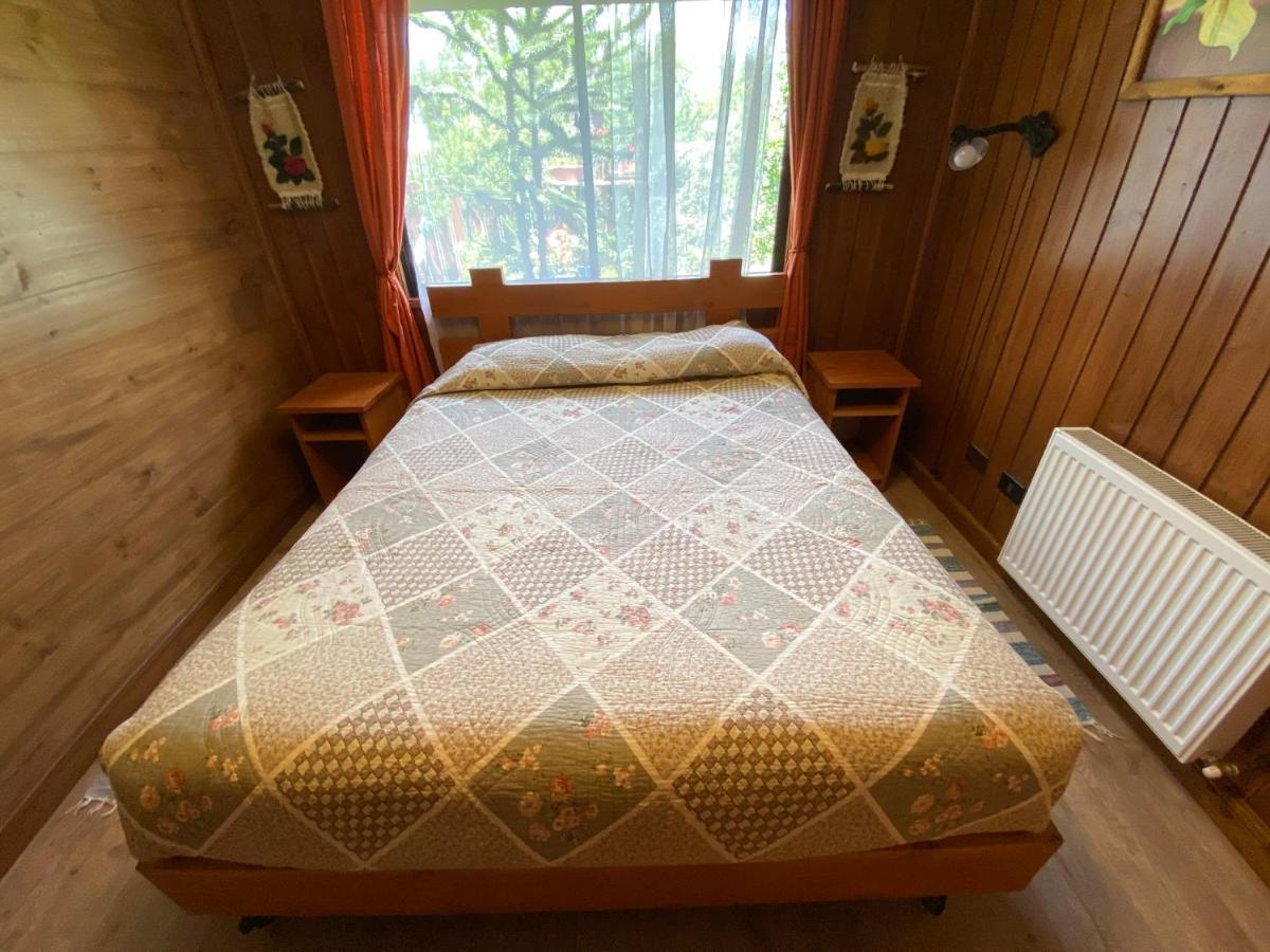 Hostal El Nogal Pucon Ngoại thất bức ảnh