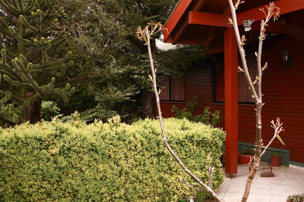 Hostal El Nogal Pucon Ngoại thất bức ảnh