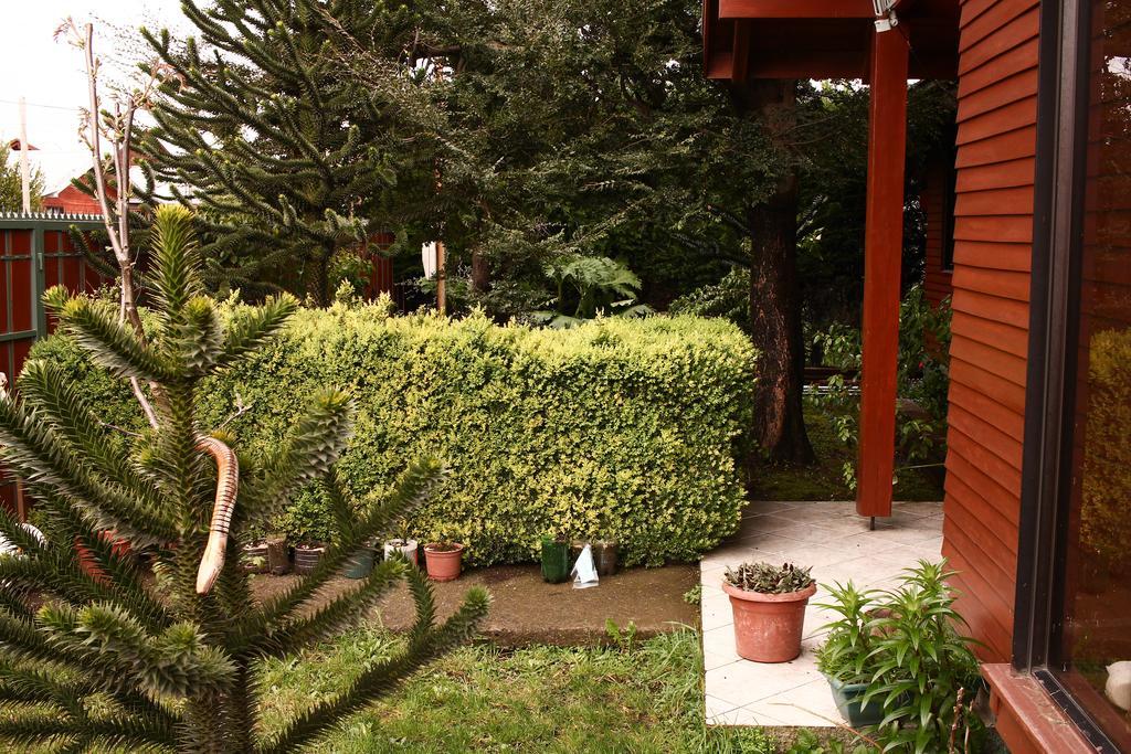 Hostal El Nogal Pucon Ngoại thất bức ảnh